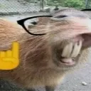 nerd3_pb