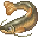 Catfish