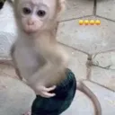 monkiuwu Discord Emoji