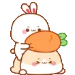 Bunnybonk