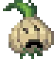 garlic_hi