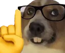 nerddog
