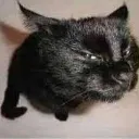 suspicious