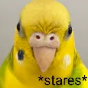 HopeStare