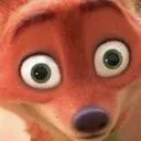 furries furries