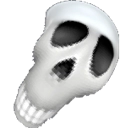 MSA_skull