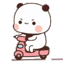 bearmotorcycle