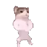 hamudifr
