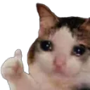 cryingthumbsup112