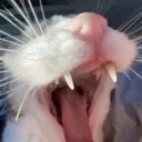 AHHHHHH