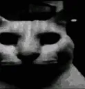 cat_doom