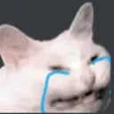 emoji_13 emoji_13