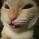 hehehehehe