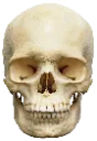 4kultraskull