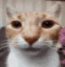 emoji_50