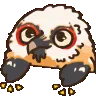 BONGOBERG BONGOBERG