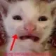 cryingcuzofscenario cryingcuzofscenario