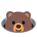 bearpeek bearpeek
