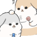 bunnycomfort81