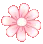 flowerspin flowerspin
