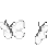 butterflyesblanch