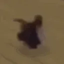 CatBreakDance CatBreakDance