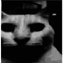 CatDespair