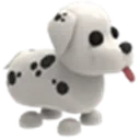 Dalmatian