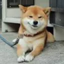 carry_smirk