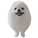 eggdog
