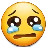 cryingloser