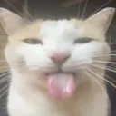 Crem_Korn