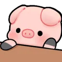 smexiBONGO