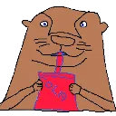 jclar_otter