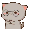 catnod