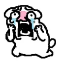 CTcry