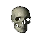 skullspin