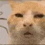 z_huhh