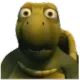 z_HUH