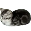 paldoloaf