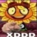 XDD