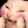 blushingcat2