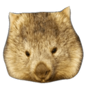wombat Discord emoji