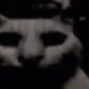 thegooberisnotgooberanymore
