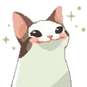 mimi