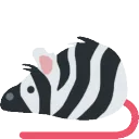 rat_zebra rat_zebra
