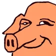 kbsSchwein