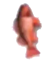 fishded
