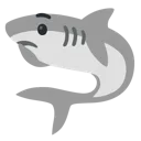 SharkThink SharkThink