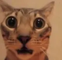 cathellnah